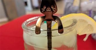 Big T&#39;s Food Eaten Today 1078