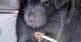 100 Films on Chris' Watchlist