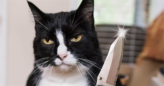 Reason to Be Late or Absent From Work