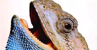 Great Natural History Books