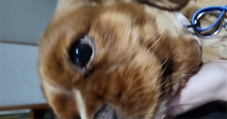 Jay&#39;s Favie Movies