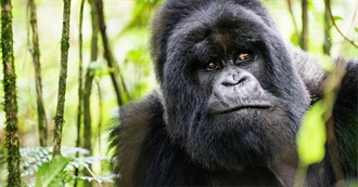 Ultimate Bucket List Expat