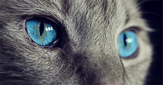 Books Ania Read in Q1 2025