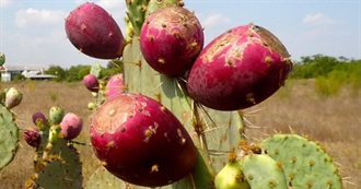 Pink Wanna Try Foods