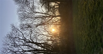 100 Films Amy Liked Yay