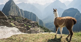 South American Adventure!