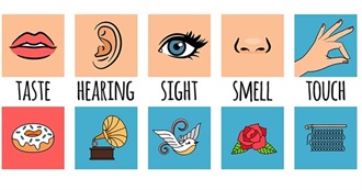 Books With Titles Related to the Senses