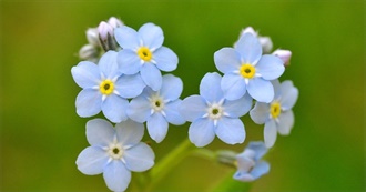 Inky&#39;s Fave Movies