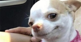 Eli&#39;s Top 50 Movies