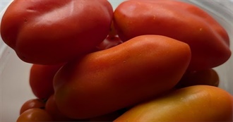 Big T&#39;s Food Eaten Today 737