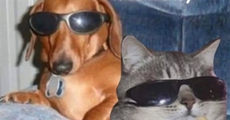 Glitter&#39;s 100 Favorite Movies