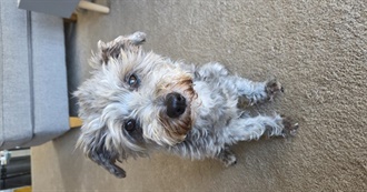 Charlotte&#39;s Fav Films