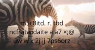 Montys Top  ????(100 Maybe)