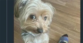 Boyfrienby&#39;s Top Books