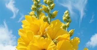 Emjays Top Thirty Best Reads