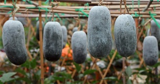 Wanna Try Foods Starting With W