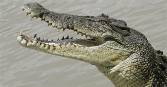 Fictional Crocodiles/Alligators
