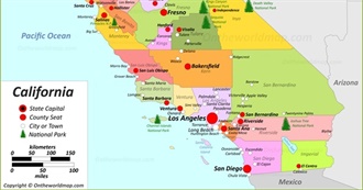 Cool Places Bee Has Been To