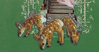 Hal&#39;s Fave-Fur-Ite Movies! :3