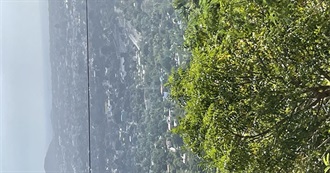 Wazza&#39;s City Visits