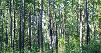 Important Bird Areas: West Gulf Coastal Plain/Ouachitas