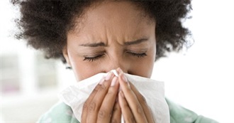 Things Elysia Did in 2016