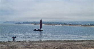 Books Mrs B Read in 2023