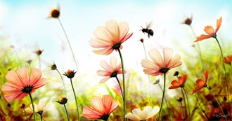 Hannah&#39;s Summer List