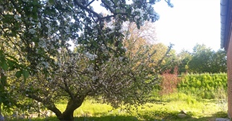 Longing to See These Places