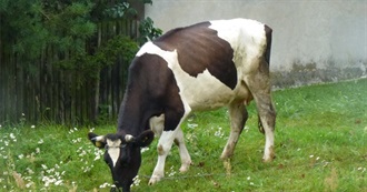 For the Weekend: 40 Comfort Films for Kids and Adults Alike