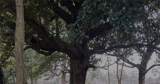 Nico&#39;s Beloved Characters