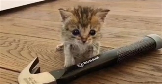 Lanes Film Faves (*&#180;∀&#39;*)