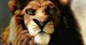 Movies That Are Similar