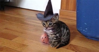 Tanya&#39;s Movie List