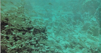 Last Ten Albums Bowman Listened to #3