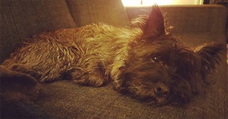 Alt Jeg Ikke Har F&#229;tt Lest