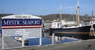 Wild Bill&#39;s Thanksgiving Vacation 2025