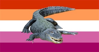 Sharky&#39;s Top 100 Films