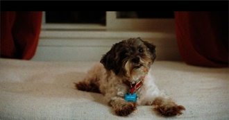 Last 10 Movies Watched - 18 (Cch)