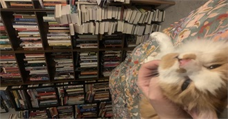 For the Remainder of the Year