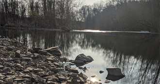 All of Lilly&#39;s Favorite Singers