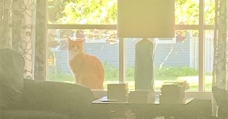 24 Classic Goals 2024