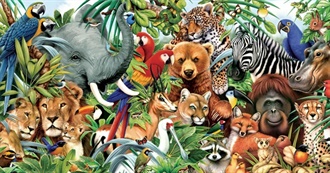 World Wildlife Day - March 3, 2024