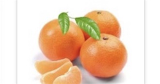 The Biggest List of Foods