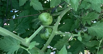 EBW&#39;s 2nd Quarter Reading