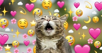 Sally&#39;s Top 100 Songs