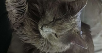 Books That Live in Flowers&#39; Head Rent-Free