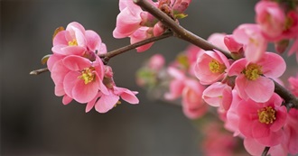 L&#237;dia&#39;s Top Kdramas &lt;3 How Many Have You Watched?