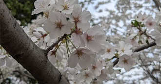 Heepthecheep&#39;s 100 Favorite/Loved Books