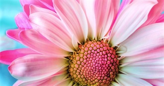 Emmy&#39;s Lou&#39;s Novels Read in 2016